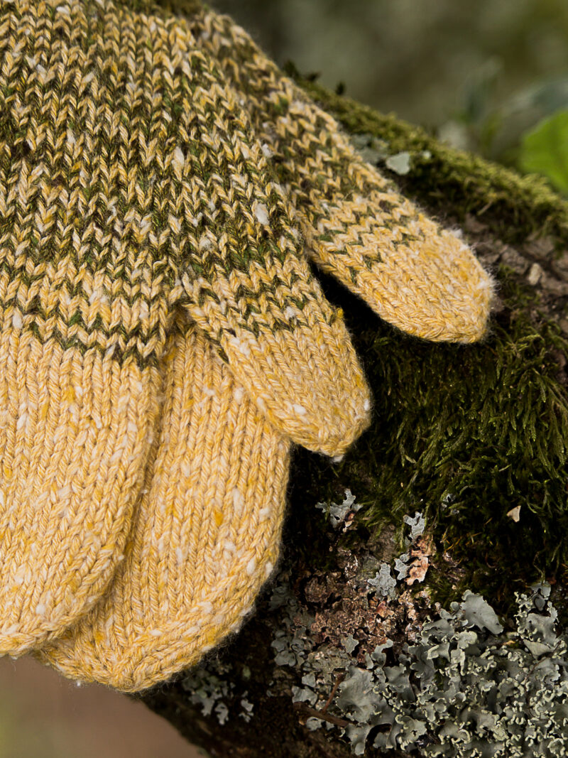 Lichen