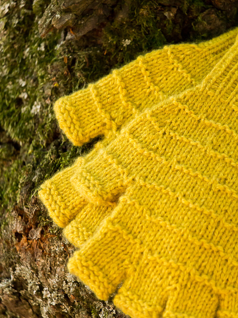 Ambre