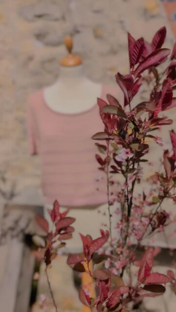 660305526 1650990132572799 1396117788719038914 n 16 361x640 - Home