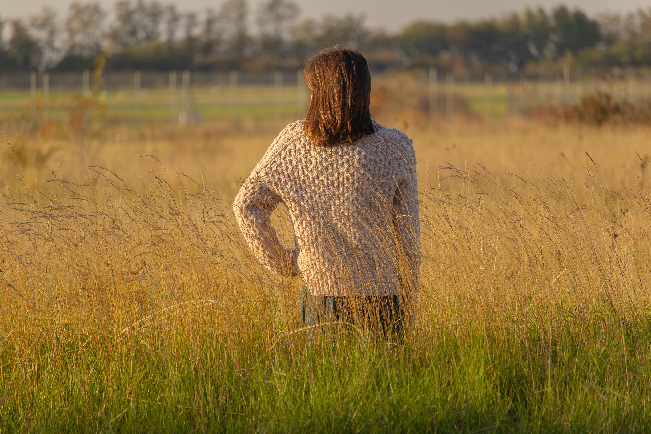 Meadow - Image 10